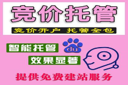 信息流竞价优化技巧：案例分析与应用